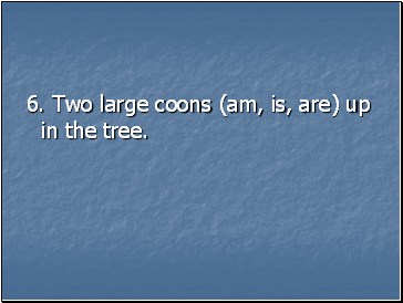 6. Two large coons (am, is, are) up in the tree.