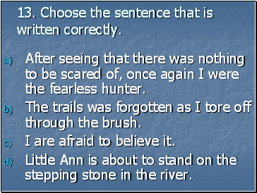 13. Choose the sentence that is written correctly.