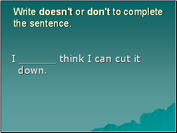 Write doesn't or don't to complete the sentence.