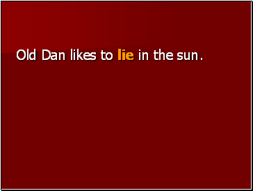 Old Dan likes to lie in the sun.