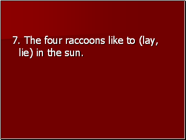 7. The four raccoons like to (lay, lie) in the sun.