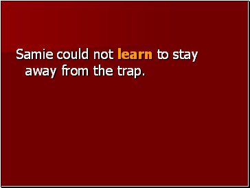 Samie could not learn to stay away from the trap.