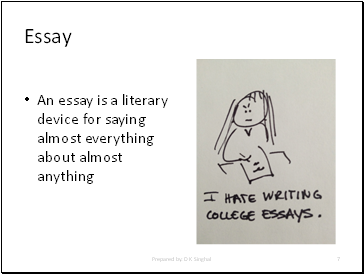 Essay