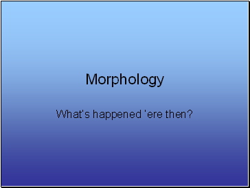 Morphology