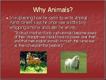 Why Animals?