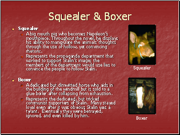 Squealer & Boxer