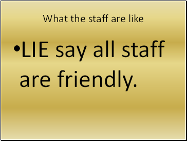 What the staff are like
