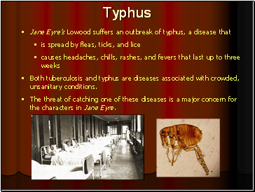 Typhus