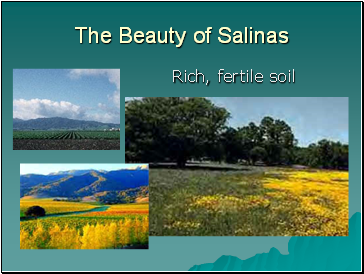 The Beauty of Salinas
