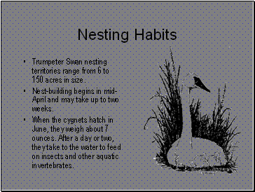 Nesting Habits