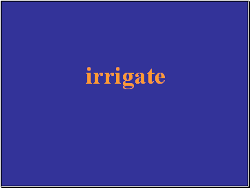irrigate