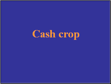 Cash crop