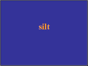 silt