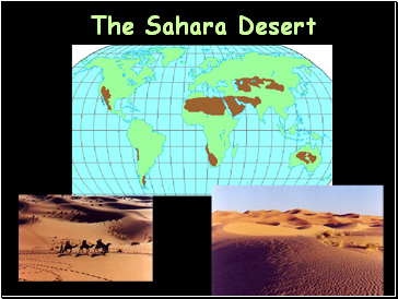 The Sahara Desert