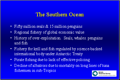 The Southern Ocean