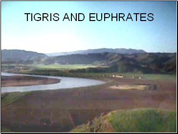 Tigris and euphrates