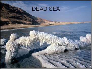 Dead sea