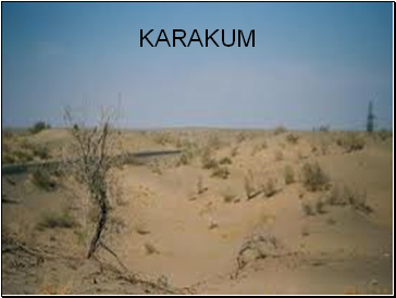 Karakum