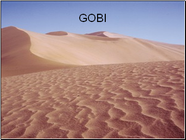 Gobi