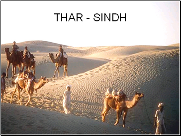 Thar - sindh