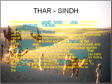 THAR - SINDH