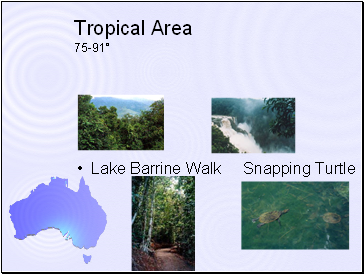 Tropical Area