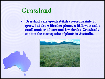 Grassland