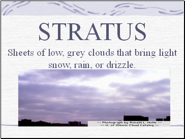 Stratus