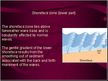 Shoreface zone (lower part)