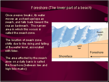 Foreshore (The lower part of a beach)