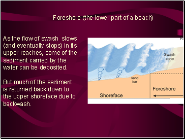 Foreshore (the lower part of a beach)