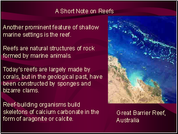 A Short Note on Reefs