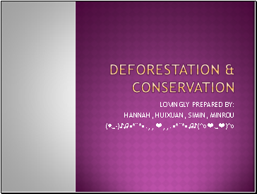 Deforestation & Conservation Efforts