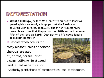 Deforestation