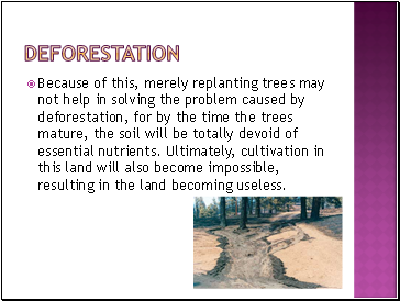 deforestation