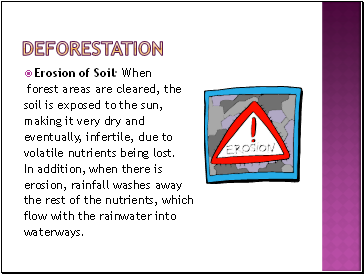 deforestation