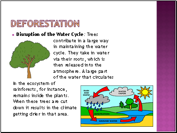 deforestation