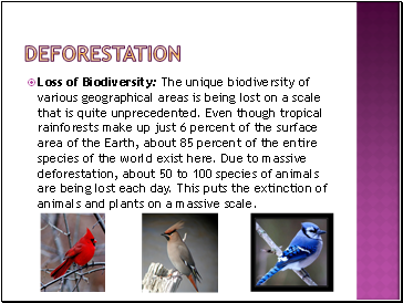 deforestation