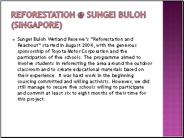 Reforestation @ sungei buloh (Singapore)