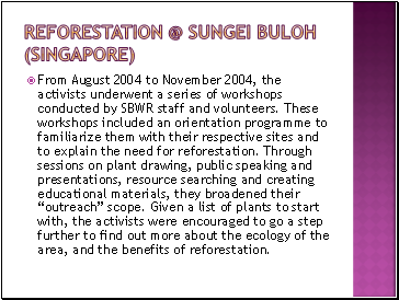 Reforestation @ sungei buloh (singapore)