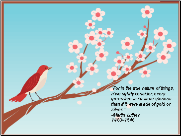 For in the true nature of things, if we rightly consider, every green tree is far more glorious than if it were made of gold or silver.