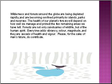 Wilderness and forests around the globe are being depleted rapidly, and are becoming confined primarily to islands, parks and reserves. The health of our planets forests will depend on how well we manage and protect the few remaining areas we have left. Forests are not only sanctuaries of wildlife, but of the human spirit. Every tree adds vibrancy, colour, magnitude, and they are vessels of health and vigour. Please, for the sake of mans future, do contribute.