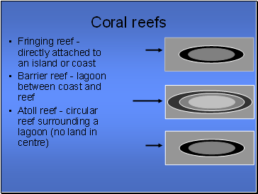 Coral reefs