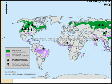 Forests