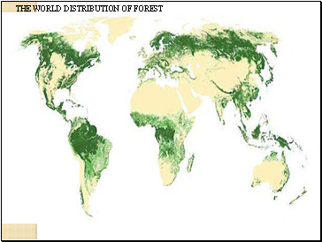 THE WORLD DISTRIBUTION OF FOREST