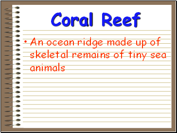 Coral Reef