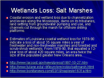 Wetlands Loss: Salt Marshes