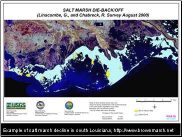 Example of salt marsh decline in south Louisiana, http://www.brownmarsh.net