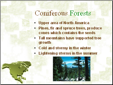 Coniferous Forests