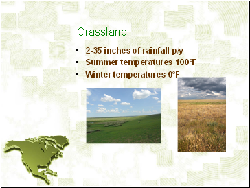 Grassland